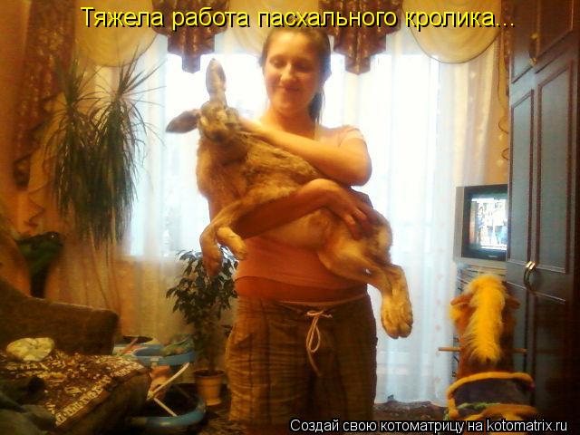 Тяжела работа пасхального кролика...... Котоматрица: Тяжела работа пасхального кролика...