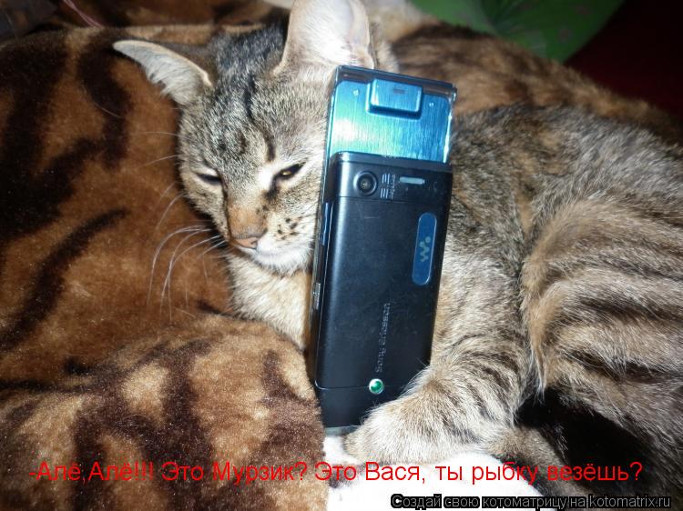 -Алё,Алё!!! Это Мурзик? -Алё,Алё!!! Это Мурзик? Это Вася, ты рыбку везёшь?... Котоматрица: -Алё,Алё!!! Это Мурзик? -Алё,Алё!!! Это Мурзик? Это Вася, ты рыбку везёшь?
