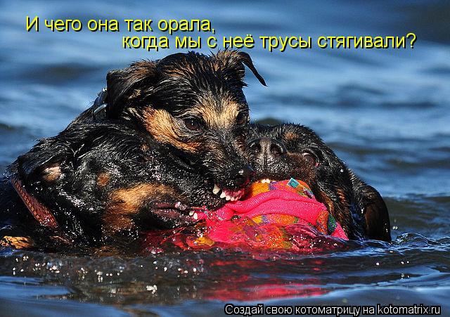 И чего она так орала, когда мы с неё трусы стягивали?... Котоматрица: И чего она так орала, когда мы с неё трусы стягивали?