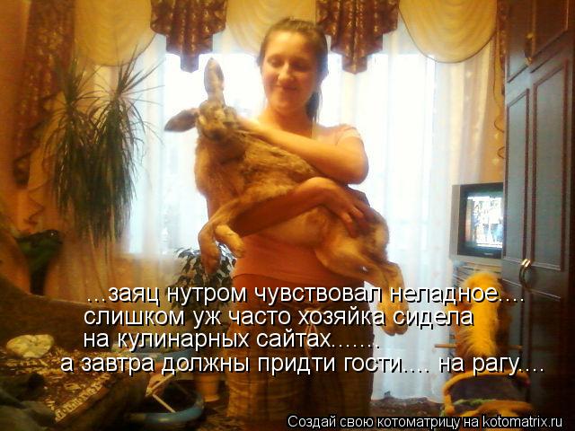 ...заяц нутром чувствовал неладное.... слишком уж часто хозяйка сидела на кулинарных сайтах....... ... Котоматрица: ...заяц нутром чувствовал неладное.... слишком уж часто хозяйка сидела на кулинарных сайтах....... а завтра должны придти гости.... на рагу....