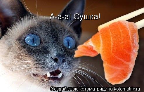 А-а-а! Сушка!... Котоматрица: А-а-а! Сушка!