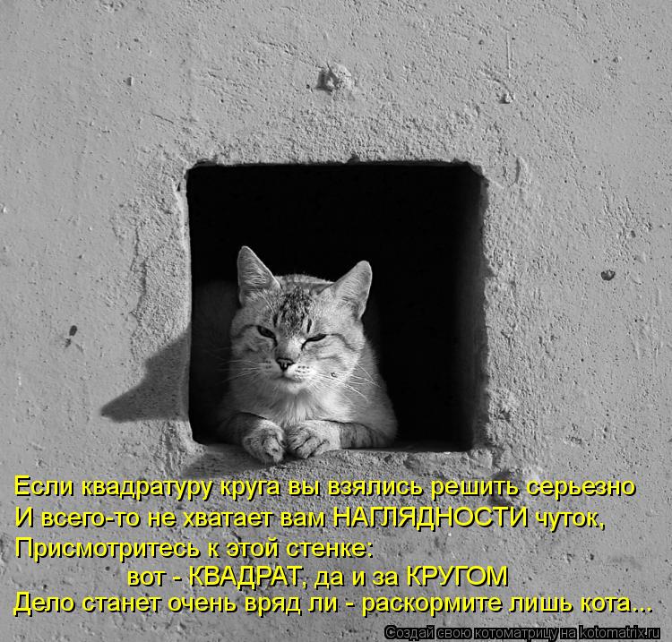 Если квадратуру круга вы взялись решить серьезно И всего-то не хватает вам НАГЛЯДНОСТИ чуток, Присмот... Котоматрица: Если квадратуру круга вы взялись решить серьезно И всего-то не хватает вам НАГЛЯДНОСТИ чуток, Присмотритесь к этой стенке: вот - КВАДРАТ, да