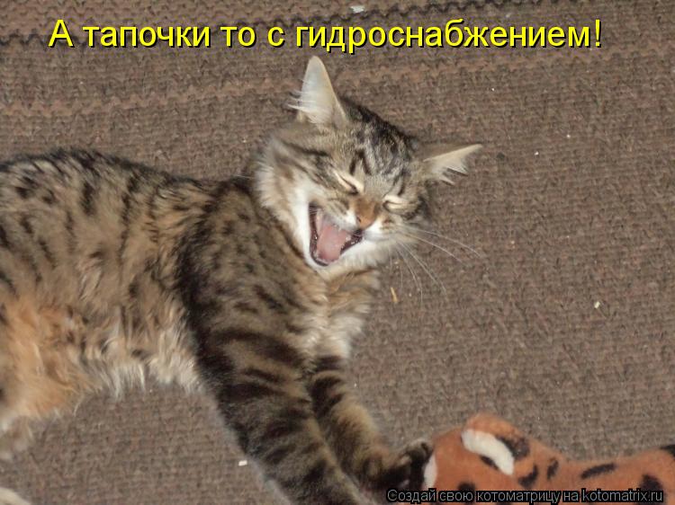А тапочки то с гидроснабжением!... Котоматрица: А тапочки то с гидроснабжением!