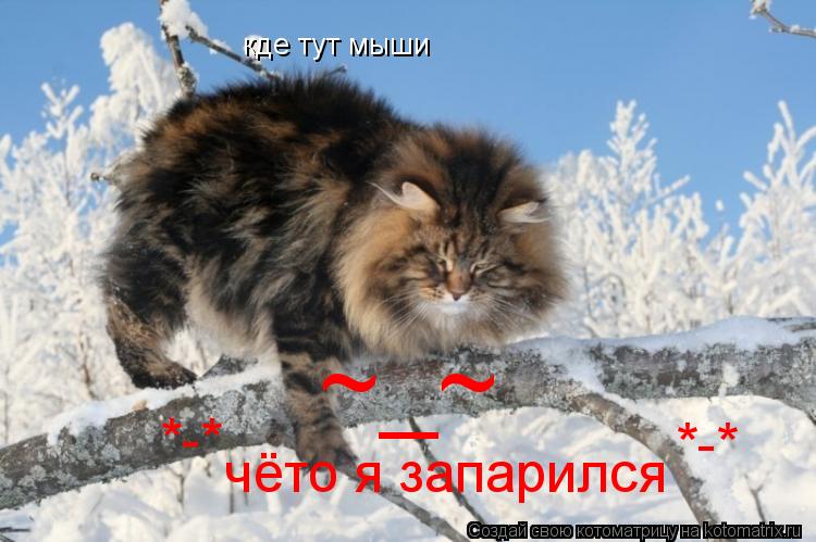 кде тут мыши чёто я запарился *-* *-* ~_~... Котоматрица: кде тут мыши чёто я запарился *-* *-* ~_~