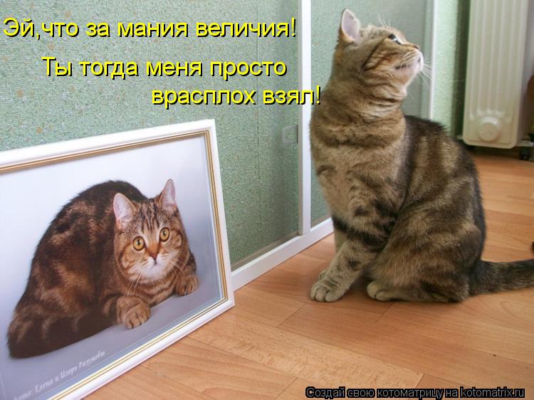 Эй,что за мания величия! Ты тогда меня просто врасплох взял!... Котоматрица: Эй,что за мания величия! Ты тогда меня просто врасплох взял!