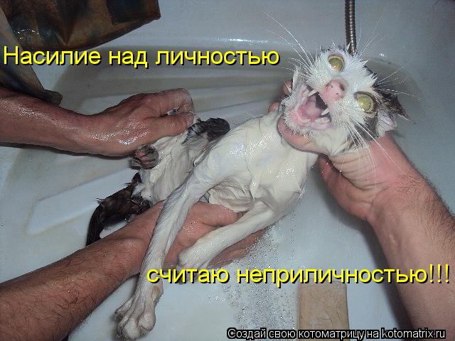 Насилие над личностью считаю неприличностью!!!... Котоматрица: Насилие над личностью считаю неприличностью!!!