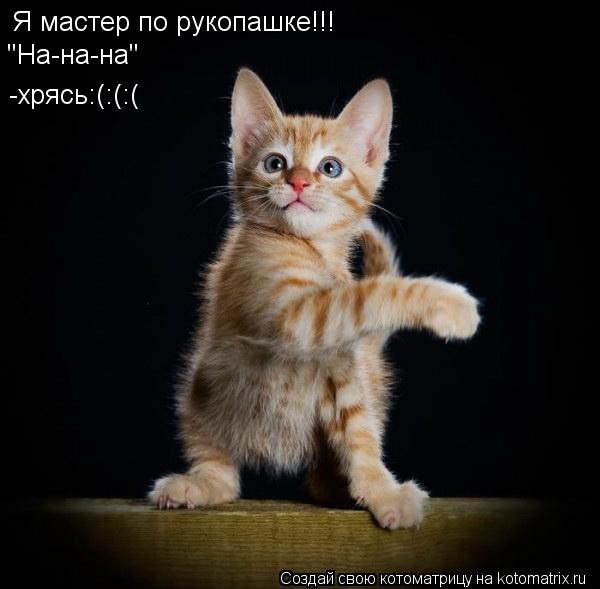 Котоматрица: Я мастер по рукопашке!!! "На-на-на" -хрясь:(:(:(