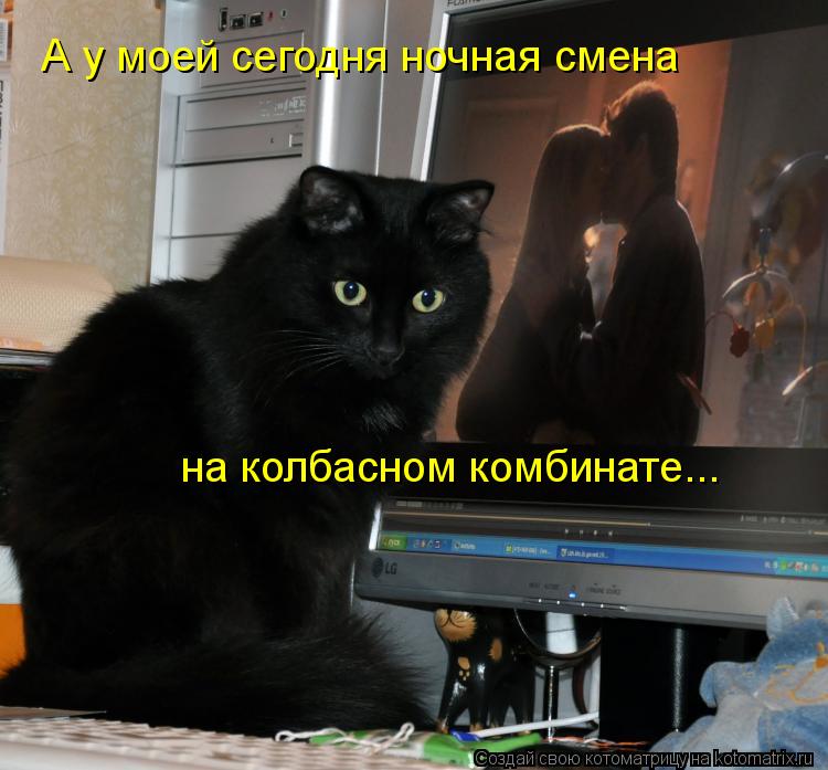 А у моей сегодня ночная смена на колбасном комбинате...... Котоматрица: А у моей сегодня ночная смена на колбасном комбинате...