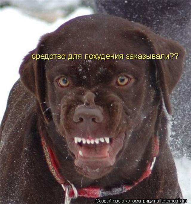 средство для похудения заказывали??... Котоматрица: средство для похудения заказывали??