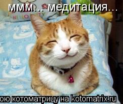 ммм... медитация...... Котоматрица: ммм... медитация...