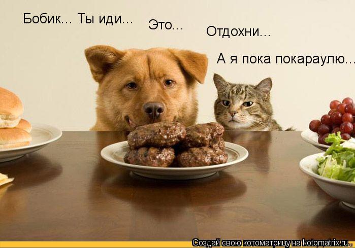 Бобик... Ты иди... Это... Отдохни... А я пока покараулю...... Котоматрица: Бобик... Ты иди... Это... Отдохни... А я пока покараулю...