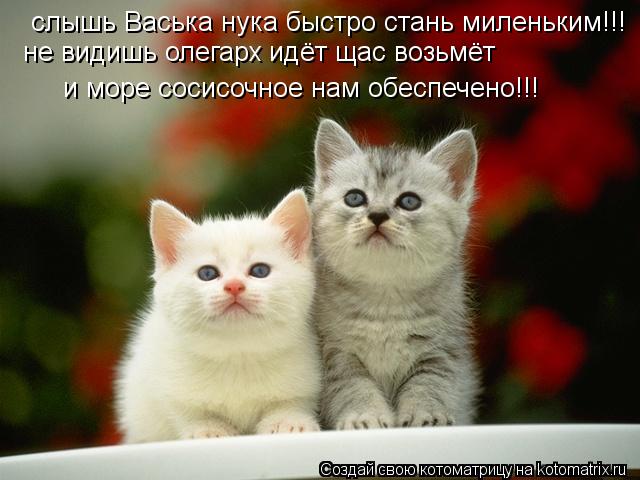 слышь Васька нука быстро стань миленьким!!! не видишь олегарх идёт щас возьмёт и море сосисочное нам ... Котоматрица: слышь Васька нука быстро стань миленьким!!! не видишь олегарх идёт щас возьмёт и море сосисочное нам обеспечено!!!