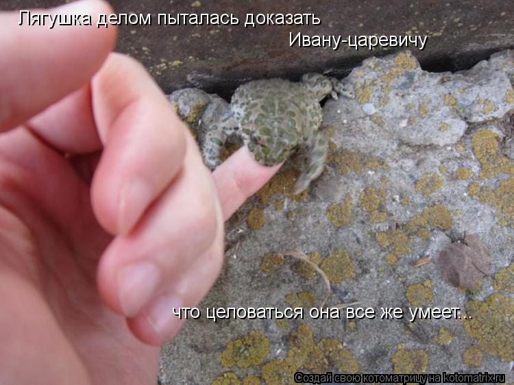 Лягушка делом пыталась доказать Ивану-царевичу что целоваться она все же умеет...... Котоматрица: Лягушка делом пыталась доказать Ивану-царевичу что целоваться она все же умеет...