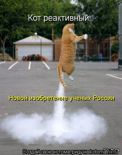 Кот реактивный.. Новой изобретение ученых России... Котоматрица: Кот реактивный.. Новой изобретение ученых России