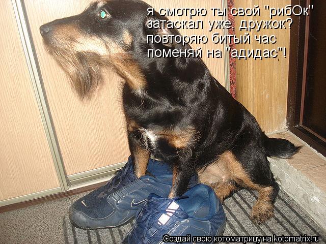я смотрю ты свой "рибОк" затаскал уже, дружок? повторяю битый час поменяй на "адидас"!... Котоматрица: я смотрю ты свой "рибОк" затаскал уже, дружок? повторяю битый час поменяй на "адидас"!
