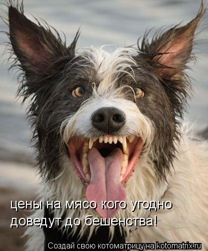 цены на мясо кого угодно доведут до бешенства!... Котоматрица: цены на мясо кого угодно доведут до бешенства!