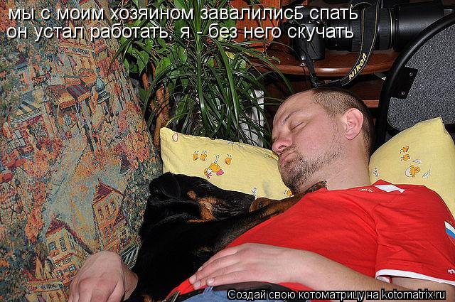 мы с моим хозяином завалились спать он устал работать, я - без него скучать... Котоматрица: мы с моим хозяином завалились спать он устал работать, я - без него скучать