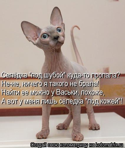 Селёдка "под шубой" куда-то пропала? Не-не, ничего я такого не брала! Найти ее можно у Васьки, похоже... Котоматрица: Селёдка "под шубой" куда-то пропала? Не-не, ничего я такого не брала! Найти ее можно у Васьки, похоже, А вот у меня лишь селедка "под кожей"!