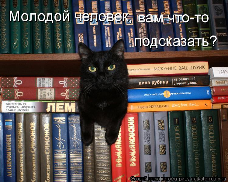 Молодой человек, вам что-то подсказать?... Котоматрица: Молодой человек, вам что-то подсказать?