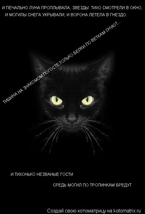 ТИШИНА НА ЗНАКОМОМ ПОГОСТЕ,ТОЛЬКО БЕЛКИ ПО ВЕТКАМ СНУЮТ... И ПЕЧАЛЬНО ЛУНА ПРОПЛЫВАЛА, ЗВЕЗДЫ ТИХО С... Котоматрица: ТИШИНА НА ЗНАКОМОМ ПОГОСТЕ,ТОЛЬКО БЕЛКИ ПО ВЕТКАМ СНУЮТ... И ПЕЧАЛЬНО ЛУНА ПРОПЛЫВАЛА, ЗВЕЗДЫ ТИХО СМОТРЕЛИ В ОКНО, И МОГИЛЫ СНЕГА УКРЫВАЛИ,