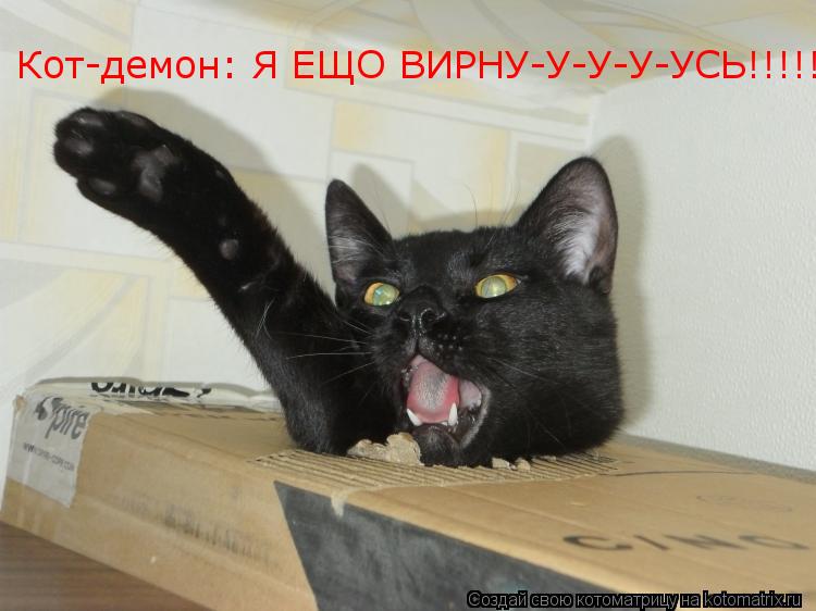 Кот-демон: Я ЕЩО ВИРНУ-У-У-У-УСЬ!!!!!!... Котоматрица: Кот-демон: Я ЕЩО ВИРНУ-У-У-У-УСЬ!!!!!!