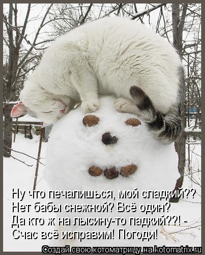 Ну что печалишься, мой сладкий?? Нет бабы снежной? Всё один? Да кто ж на лысину-то падкий??! - Счас ... Котоматрица: Ну что печалишься, мой сладкий?? Нет бабы снежной? Всё один? Да кто ж на лысину-то падкий??! - Счас всё исправим! Погоди!