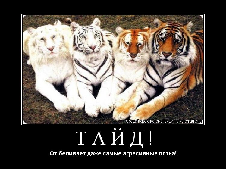 ТАЙД! От беливает даже самые агресивные пятна!... Котоматрица: ТАЙД! От беливает даже самые агресивные пятна!