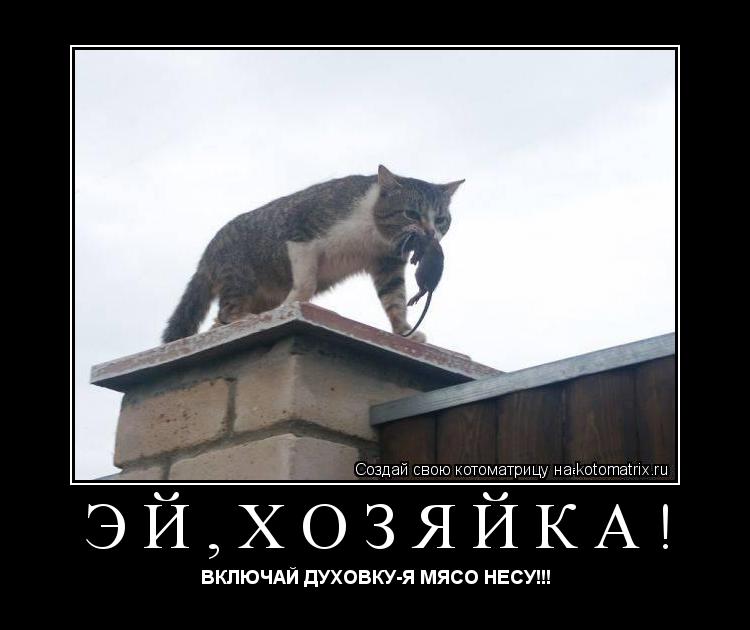 ЭЙ,ХОЗЯЙКА! ВКЛЮЧАЙ ДУХОВКУ-Я МЯСО НЕСУ!!!... Котоматрица: ЭЙ,ХОЗЯЙКА! ВКЛЮЧАЙ ДУХОВКУ-Я МЯСО НЕСУ!!!