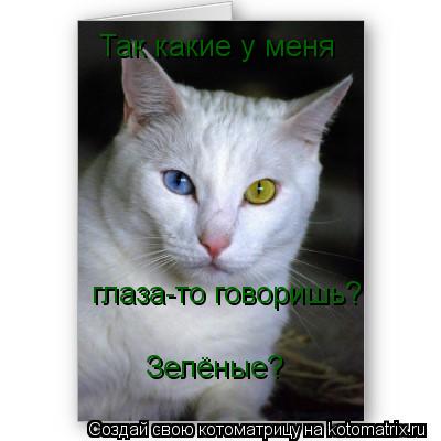 Так какие у меня глаза-то говоришь? Зелёные?... Котоматрица: Так какие у меня глаза-то говоришь? Зелёные?