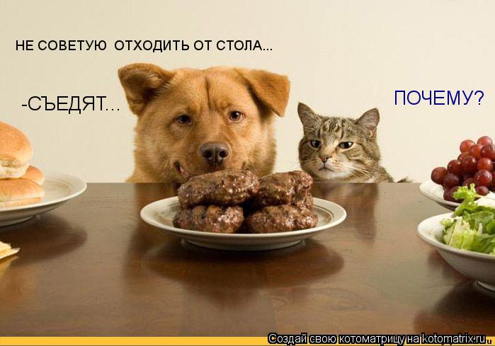 НЕ СОВЕТУЮ ОТХОДИТЬ ОТ СТОЛА... -СЪЕДЯТ... ПОЧЕМУ?... Котоматрица: НЕ СОВЕТУЮ ОТХОДИТЬ ОТ СТОЛА... -СЪЕДЯТ... ПОЧЕМУ?