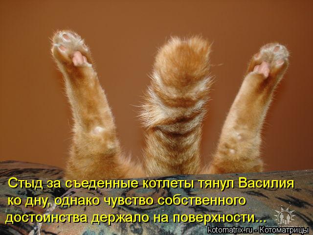 http://kotomatrix.ru/images/lolz/2012/02/29/1124905.jpg