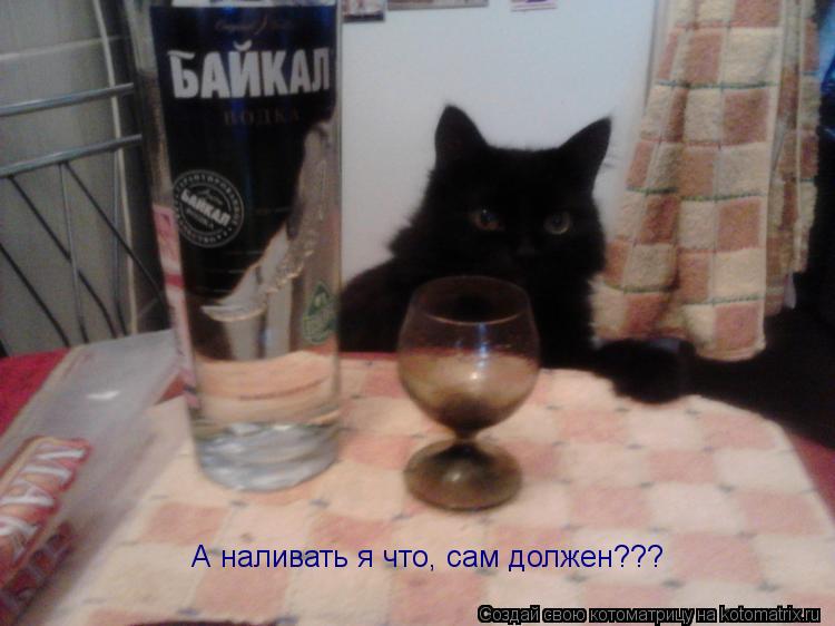 А наливать я что, сам должен???... Котоматрица: А наливать я что, сам должен???