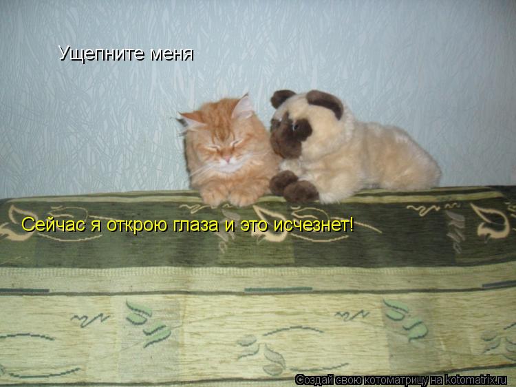 Ущепните меня Сейчас я открою глаза и это исчезнет!... Котоматрица: Ущепните меня Сейчас я открою глаза и это исчезнет!
