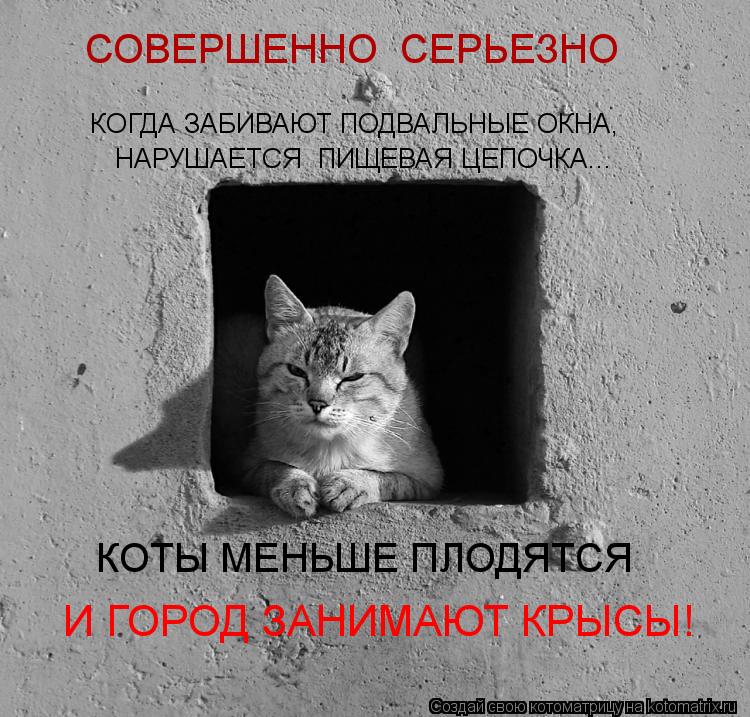 СОВЕРШЕННО СЕРЬЕЗНО КОГДА ЗАБИВАЮТ ПОДВАЛЬНЫЕ ОКНА, НАРУШАЕТСЯ ПИЩЕВАЯ ЦЕПОЧКА... КОТЫ МЕНЬШЕ ПЛОДЯ... Котоматрица: СОВЕРШЕННО СЕРЬЕЗНО КОГДА ЗАБИВАЮТ ПОДВАЛЬНЫЕ ОКНА, НАРУШАЕТСЯ ПИЩЕВАЯ ЦЕПОЧКА... КОТЫ МЕНЬШЕ ПЛОДЯТСЯ И ГОРОД ЗАНИМАЮТ КРЫСЫ!