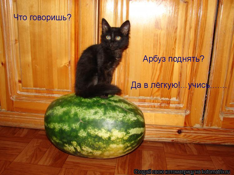 Что говоришь? Арбуз поднять? Да в лёгкую!...учись.......... Котоматрица: Что говоришь? Арбуз поднять? Да в лёгкую!...учись.......