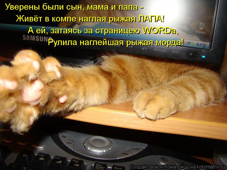 Уверены были сын, мама и папа - Живёт в компе наглая рыжая ЛАПА! А ей, затаясь за страницею WORDа, Ру... Котоматрица: Уверены были сын, мама и папа - Живёт в компе наглая рыжая ЛАПА! А ей, затаясь за страницею WORDа, Рулила наглейшая рыжая морда!