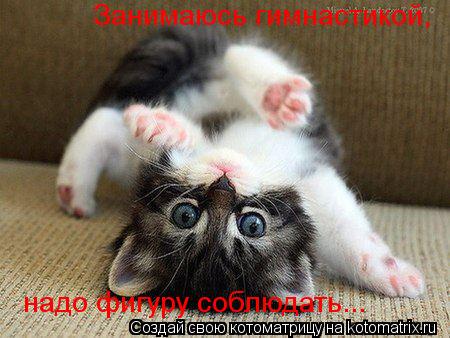 Занимаюсь гимнастикой, надо фигуру соблюдать...... Котоматрица: Занимаюсь гимнастикой, надо фигуру соблюдать...