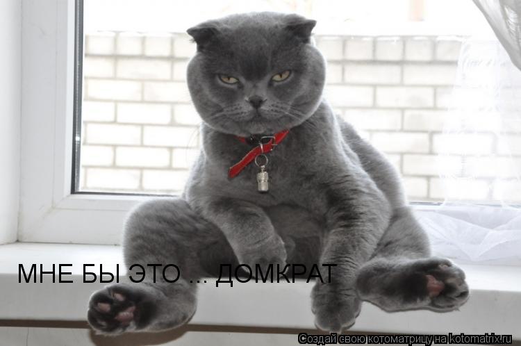 МНЕ БЫ ЭТО ... ДОМКРАТ... Котоматрица: МНЕ БЫ ЭТО ... ДОМКРАТ