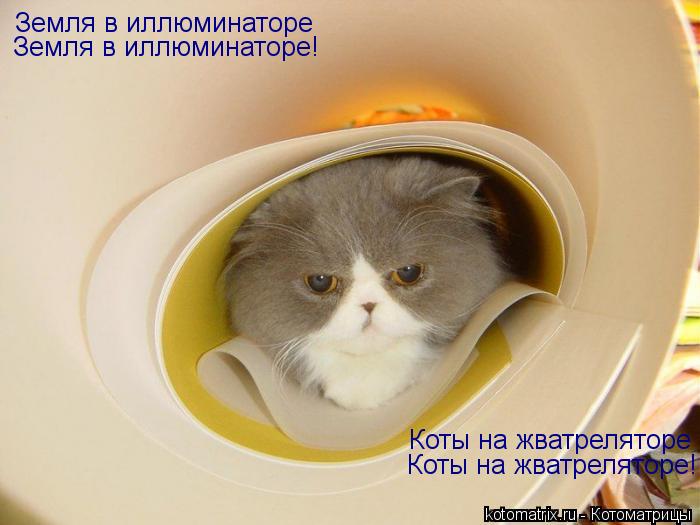 Земля в иллюминаторе Земля в иллюминаторе! Коты на жватреляторе Коты на жватреляторе!... Котоматрица: Земля в иллюминаторе Земля в иллюминаторе! Коты на жватреляторе Коты на жватреляторе!