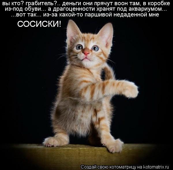 вы кто? грабитель?.. деньги они прячут воон там, в коробке из-под обуви... а драгоценности хранят по... Котоматрица: вы кто? грабитель?.. деньги они прячут воон там, в коробке из-под обуви... а драгоценности хранят под аквариумом... ...вот так... из-за какой-то па