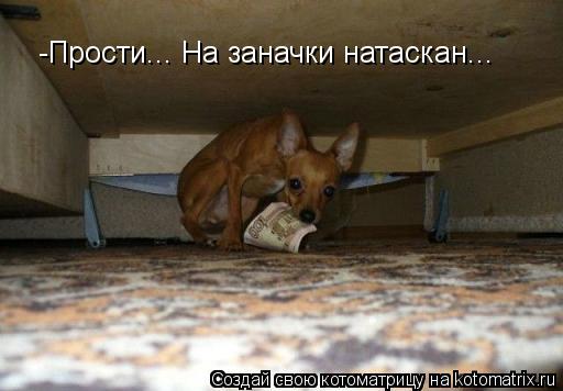 -Прости... На заначки натаскан...... Котоматрица: -Прости... На заначки натаскан...