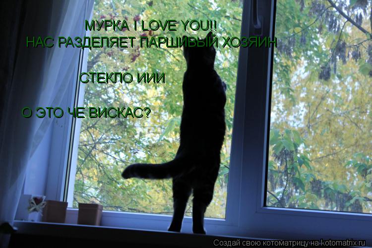 МУРКА I LOVE YOU!! НАС РАЗДЕЛЯЕТ ПАРШИВЫЙ ХОЗЯИН СТЕКЛО ИИИ О ЭТО ЧЕ ВИСКАС?... Котоматрица: МУРКА I LOVE YOU!! НАС РАЗДЕЛЯЕТ ПАРШИВЫЙ ХОЗЯИН СТЕКЛО ИИИ О ЭТО ЧЕ ВИСКАС?