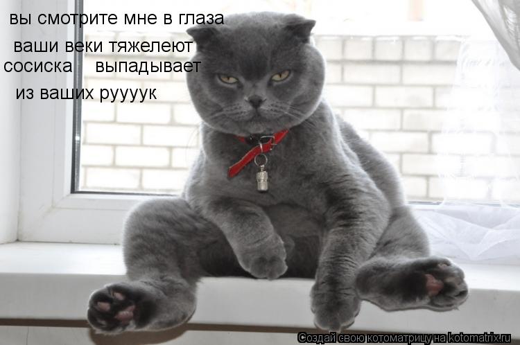 вы смотрите мне в глаза ваши веки тяжелеют сосиска выпадывает из ваших руууук... Котоматрица: вы смотрите мне в глаза ваши веки тяжелеют сосиска выпадывает из ваших руууук