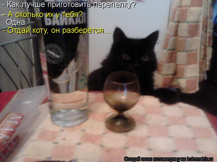 - Как лучше приготовить перепёлку? - А сколько их у тебя? Одна. - Отдай коту, он разберётся...... Котоматрица: - Как лучше приготовить перепёлку? - А сколько их у тебя? Одна. - Отдай коту, он разберётся...