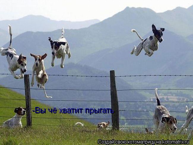 -Вы чё хватит прыгать -Вы чё хватит прыгать... Котоматрица: -Вы чё хватит прыгать -Вы чё хватит прыгать