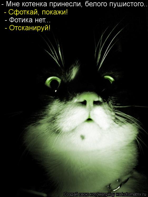 - Мне котенка принесли, белого пушистого... - Сфоткай, покажи! - Фотика нет... - Отсканируй!... Котоматрица: - Мне котенка принесли, белого пушистого... - Сфоткай, покажи! - Фотика нет... - Отсканируй!
