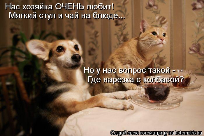 Нас хозяйка ОЧЕНЬ любит! Мягкий стул и чай на блюде... Но у нас вопрос такой - Где нарезка с колбасой... Котоматрица: Нас хозяйка ОЧЕНЬ любит! Мягкий стул и чай на блюде... Но у нас вопрос такой - Где нарезка с колбасой?