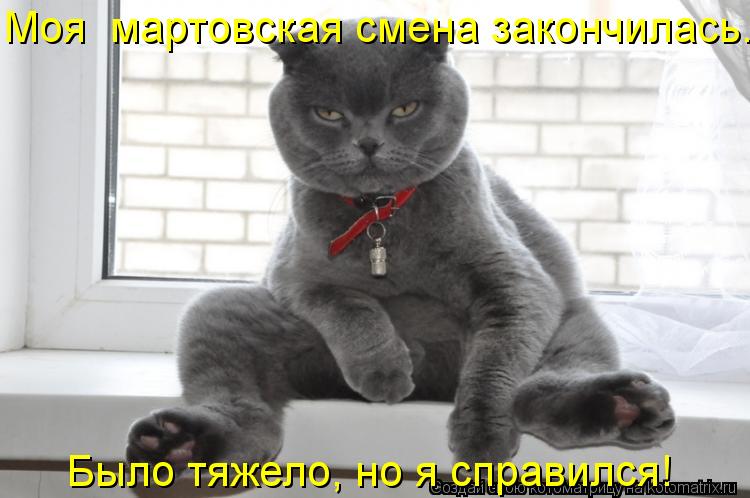 Моя мартовская смена закончилась. Было тяжело, но я справился!... Котоматрица: Моя мартовская смена закончилась. Было тяжело, но я справился!