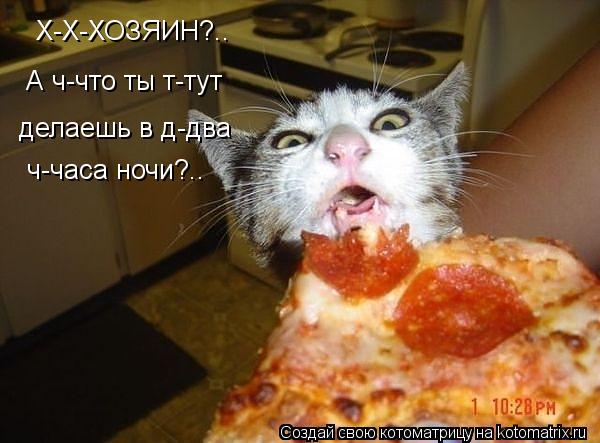 Х-Х-ХОЗЯИН?.. А ч-что ты т-тут делаешь в д-два ч-часа ночи?..... Котоматрица: Х-Х-ХОЗЯИН?.. А ч-что ты т-тут делаешь в д-два ч-часа ночи?..