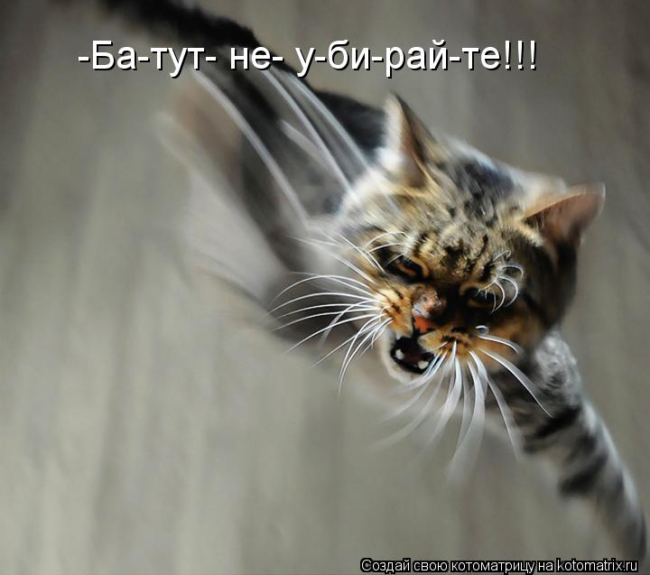 -Ба-тут- не- у-би-рай-те!!!... Котоматрица: -Ба-тут- не- у-би-рай-те!!!
